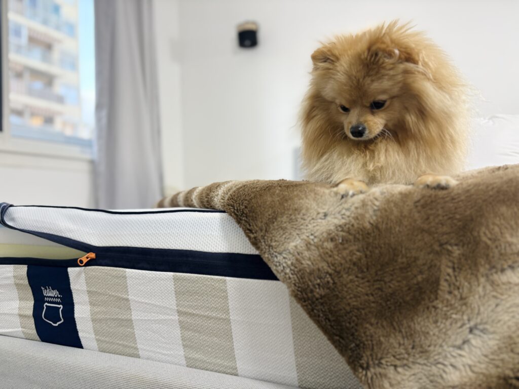 Chein sur Tediber matelas hybride premium